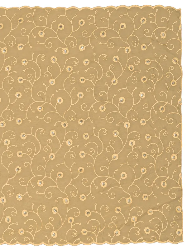 Organza_Floral_Jaal_Embroidered_Dupatta_With_Sequins_Beige