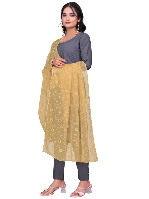 Organza_Floral_Jaal_Embroidered_Dupatta_With_Sequins_Beige