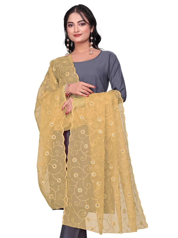 Organza_Floral_Jaal_Embroidered_Dupatta_With_Sequins_Beige