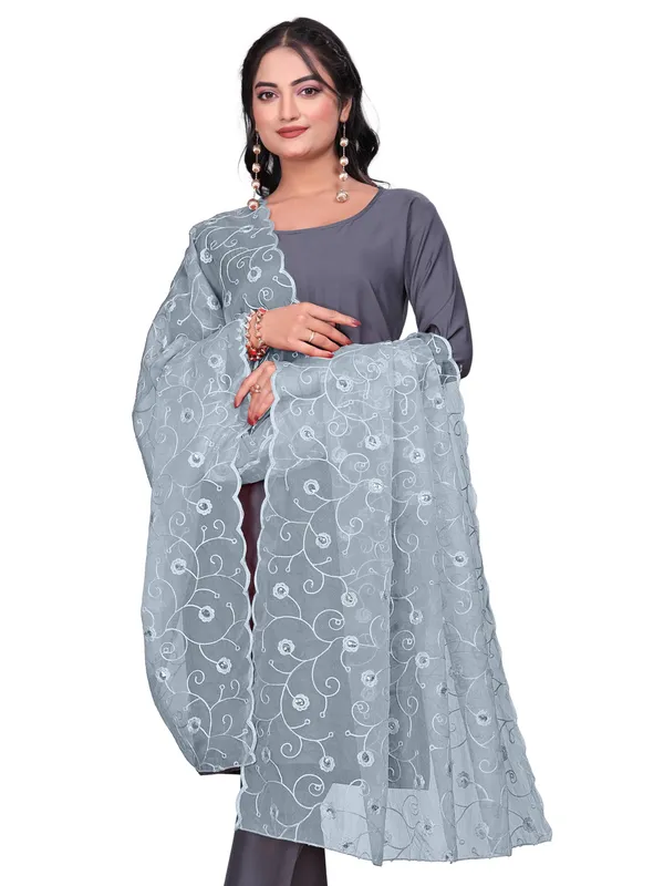 Organza_Floral_Jaal_Embroidered_Dupatta_With_Sequins_Grey