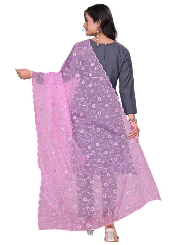 Organza_Floral_Jaal_Embroidered_Dupatta_With_Sequins_Light_Pink