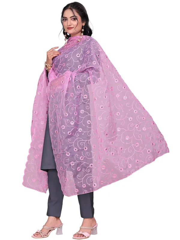 Organza_Floral_Jaal_Embroidered_Dupatta_With_Sequins_Light_Pink