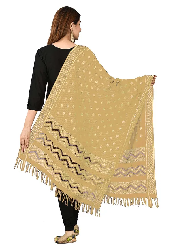 Net_Zari_Buti_Dupatta_With_Chevron_Pallu_Tassels_Beige