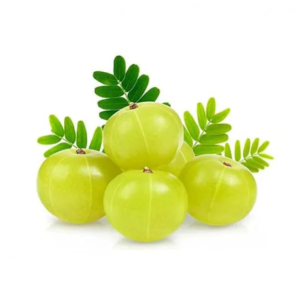 Evrin_Eternal_Amla_Powder
