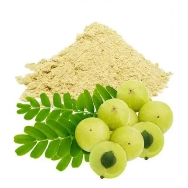 Evrin_Eternal_Amla_Powder