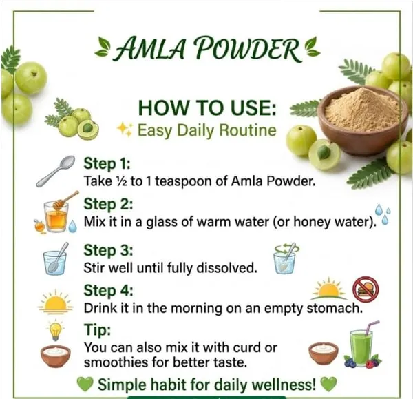 Evrin_Eternal_Amla_Powder