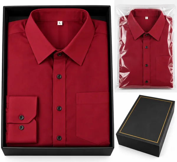 Maroon_Regular_Fit_Formal_Shirt_for_Men