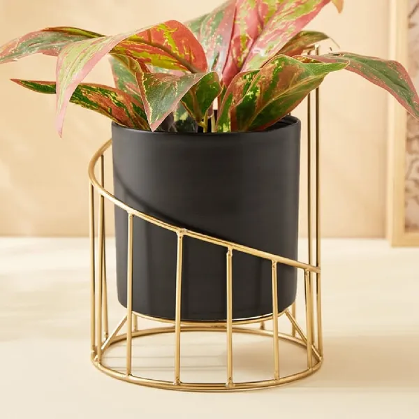 Gold_Tone_Metal_Plant_Stand_With_Black_Pot