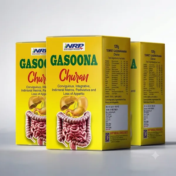 Gasoona_churn_Natural_Digestive_Churan_Digestive_Health_Pack_Of_3