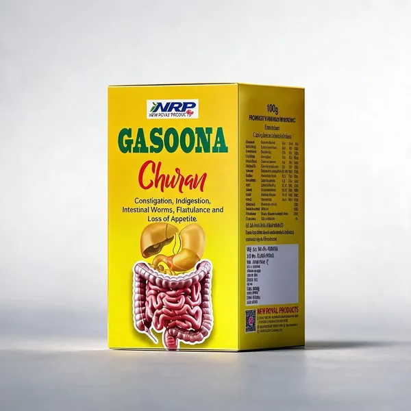 Gasoona_churn_Natural_Digestive_Churan_Digestive_Health_Pack_Of_3
