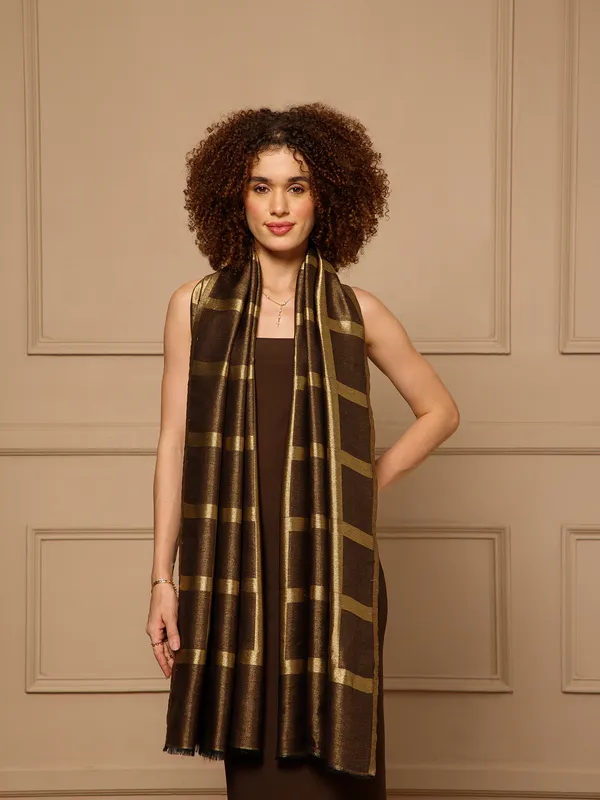 Brown_Woven_Geometric_Stole_for_Women
