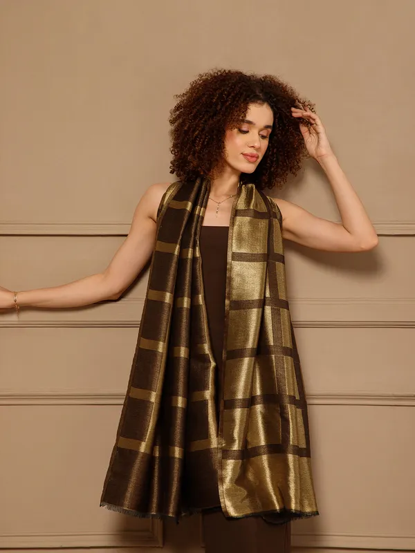 Brown_Woven_Geometric_Stole_for_Women