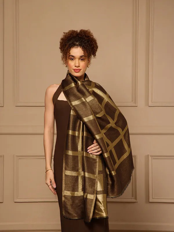 Brown_Woven_Geometric_Stole_for_Women