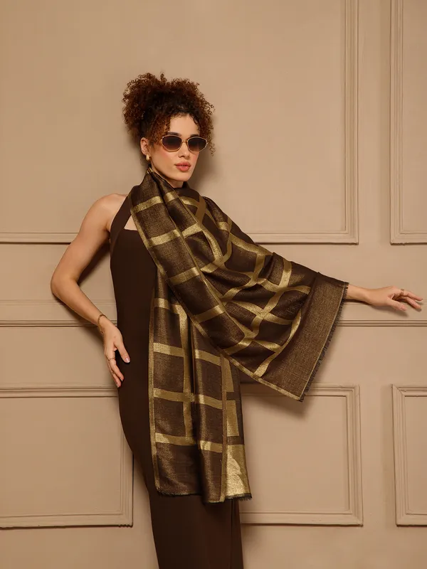 Brown_Woven_Geometric_Stole_for_Women
