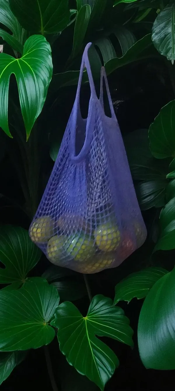 Purple_Cotton_Mesh_Handle_Shopping_Bag_For_Women_-_Pack_of_2
