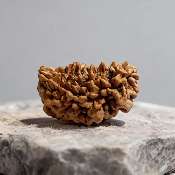 Natural_Rudraksha_Seed_1_Mukhi_Bead