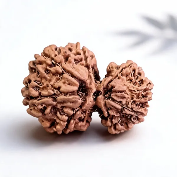 Natural_Rudraksha_Gauri_Shankar_13_Mukhi_Bead_Set