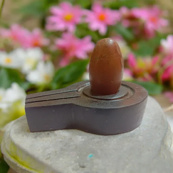 Narmada_Stone_Shiva_Lingam_With_Yoni_Base
