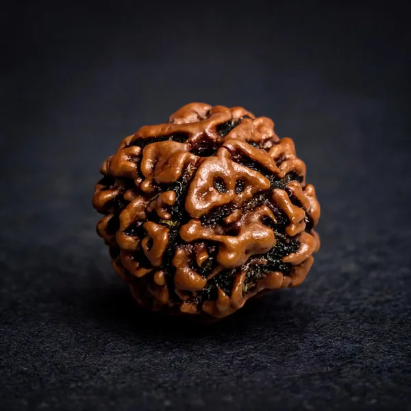 Natural_Rudraksha_Seed_4_Mukhi_Bead
