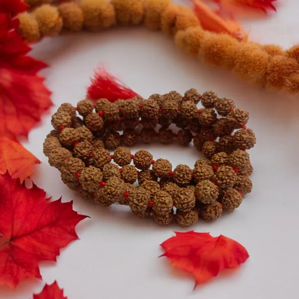 Natural_Rudraksha_Seed_Bead_Mala_6Mm