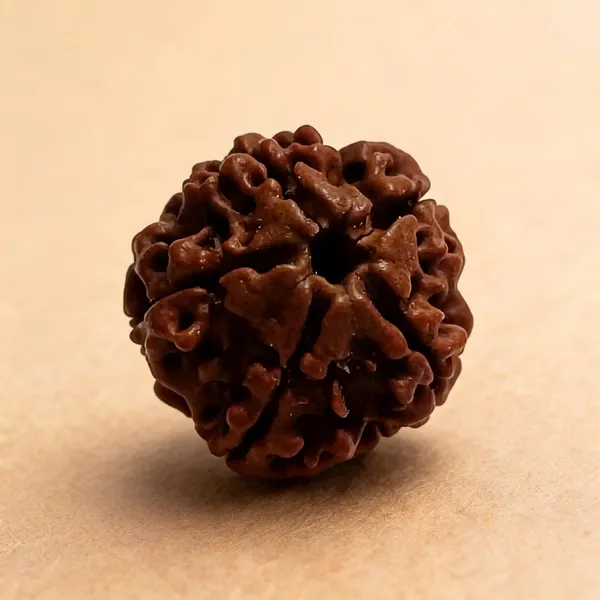 Tulsistore_5_Mukhi_Nepali_Natural_Rudraksha_Bead