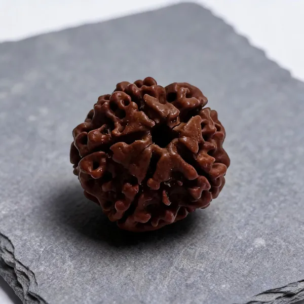 Tulsistore_5_Mukhi_Nepali_Natural_Rudraksha_Bead