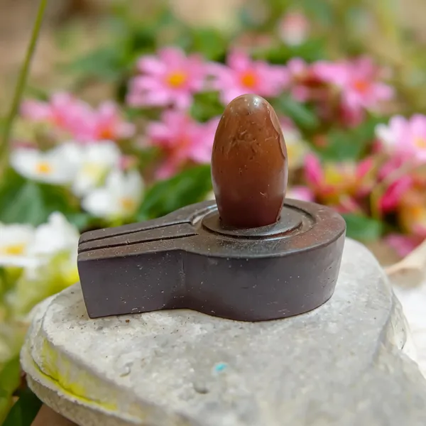 Narmada_Stone_Shiva_Lingam_With_Yoni_Base