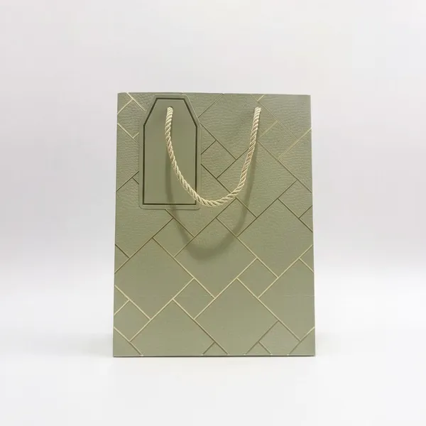 Izels_Premium_Luxury_Paper_Gift_Bags_Light_Green_Pack_Of_5