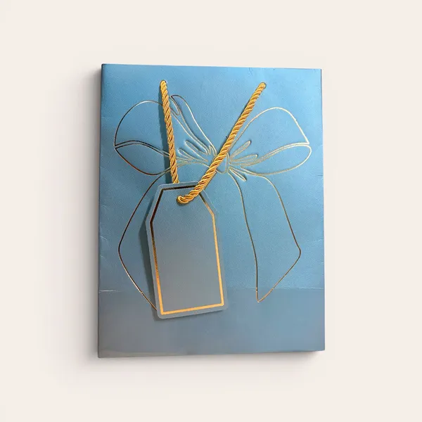 Premium_Blue_Gift_Bags_Pack_Of_5