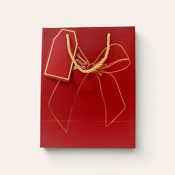 Premium_Red_Gift_Bags_Pack_Of_10