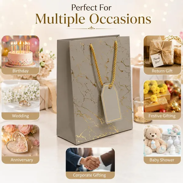 Izels_Metallic_Paper_Gift_Bag_With_Gold_Foiling_23x18x10_Cm_Silver_10_Pcs