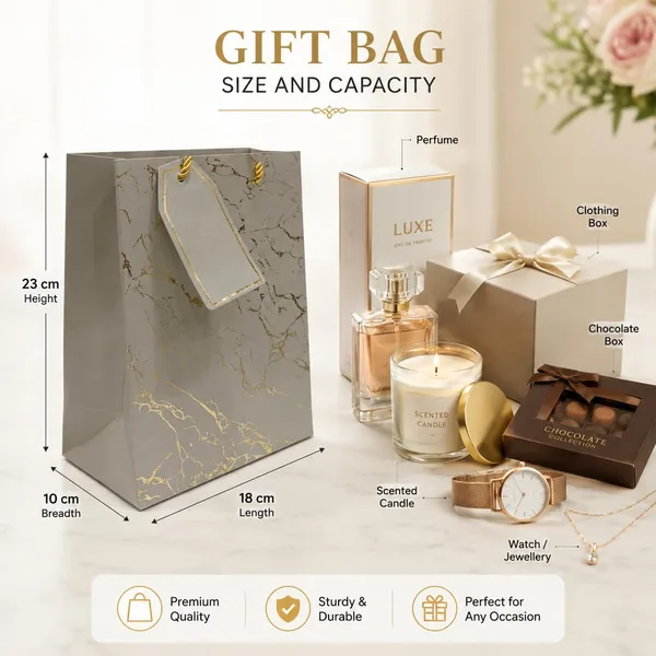 Izels_Metallic_Paper_Gift_Bag_With_Gold_Foiling_23x18x10_Cm_Silver_10_Pcs