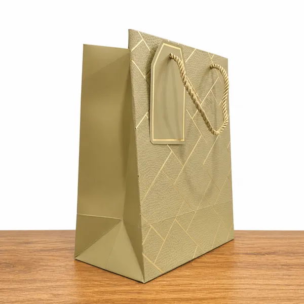 GEOMETRIC_LIGHT_GREEN__BAG_-_SMALL