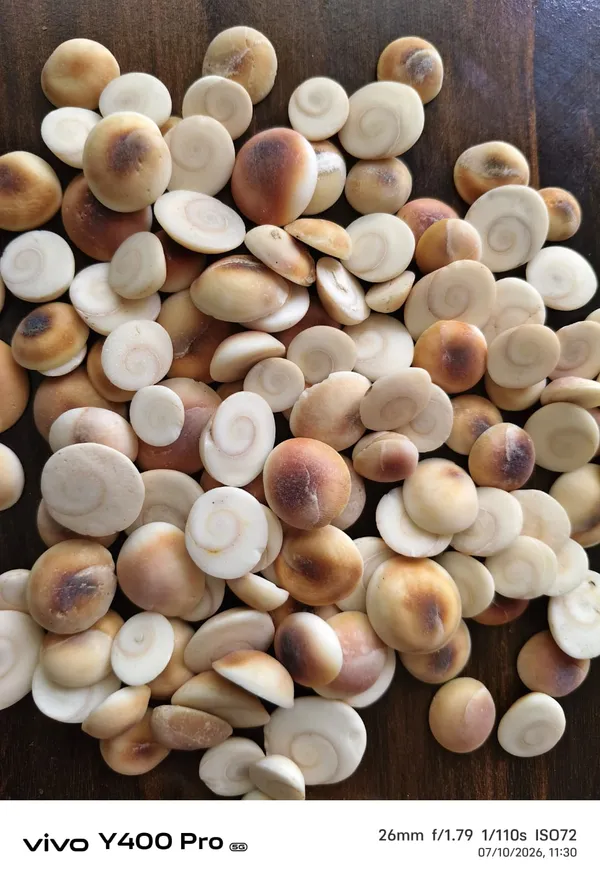 Makhana_Fox_Nuts