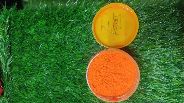 Orange_Kumkum_Powder_Turmeric-Based