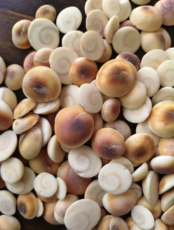 Makhana_Fox_Nuts