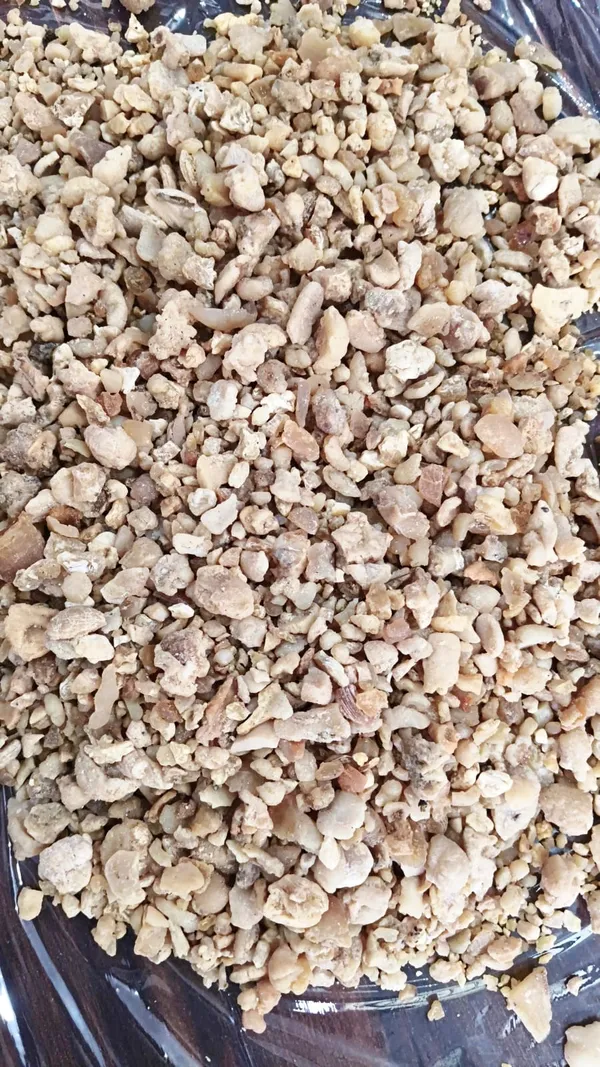 Dried_Edible_Gum_Granules