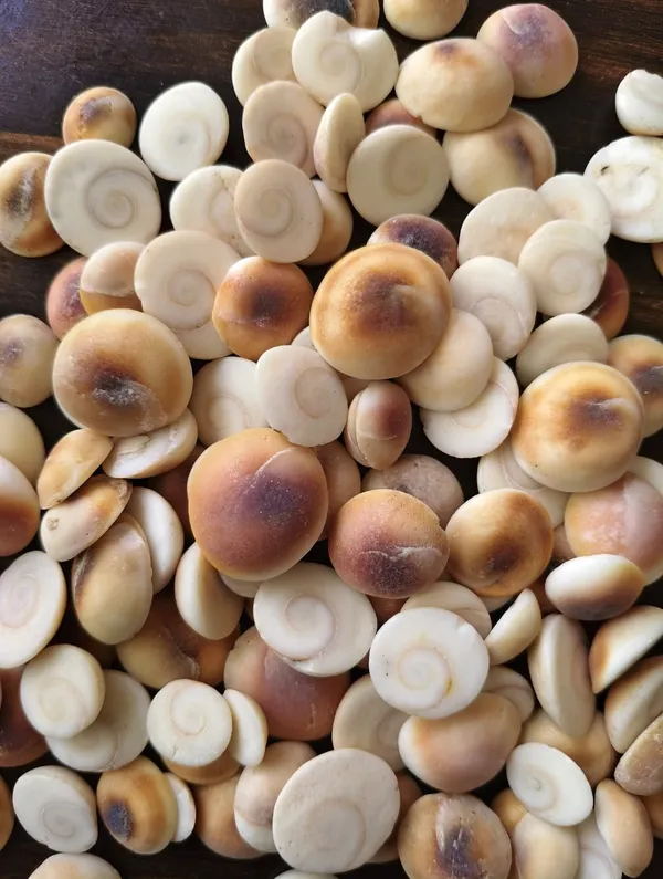 Makhana_Fox_Nuts