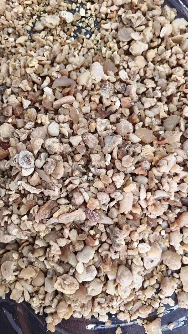 Dried_Edible_Gum_Granules