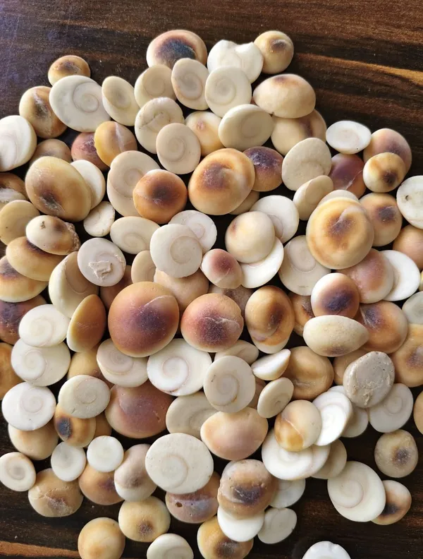 Makhana_Fox_Nuts