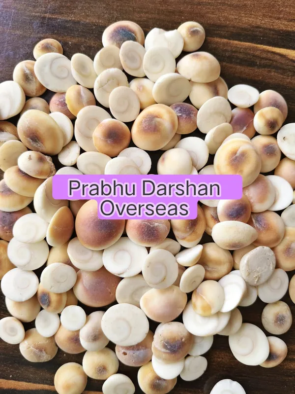 Makhana_Fox_Nuts