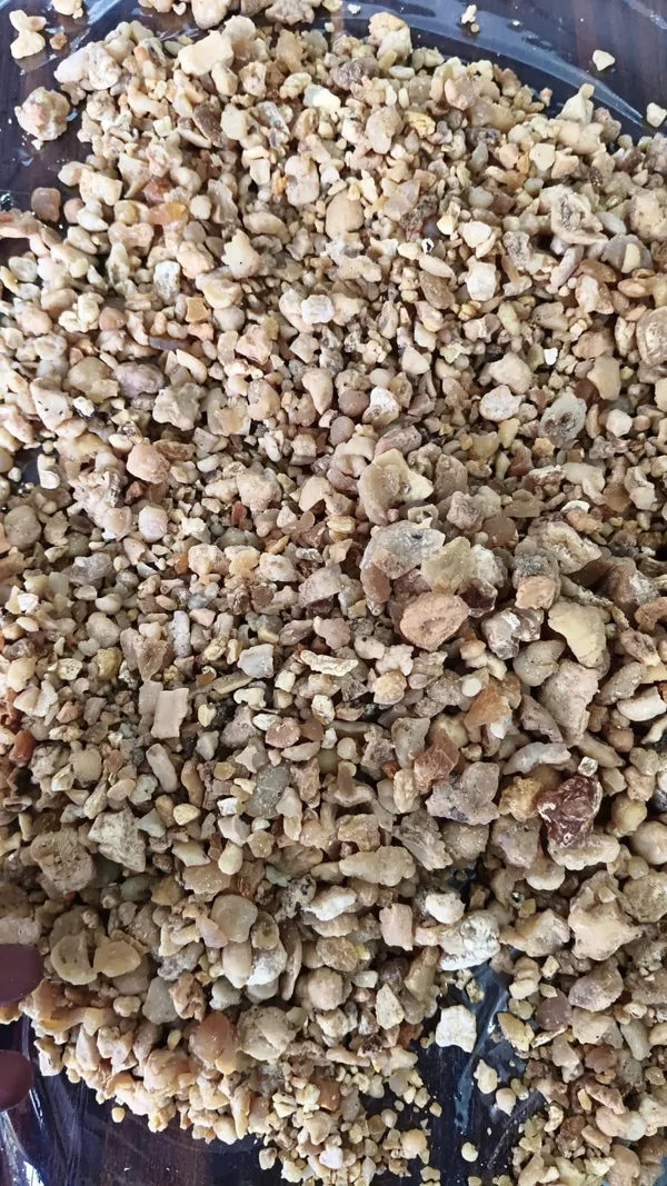 Dried_Edible_Gum_Granules