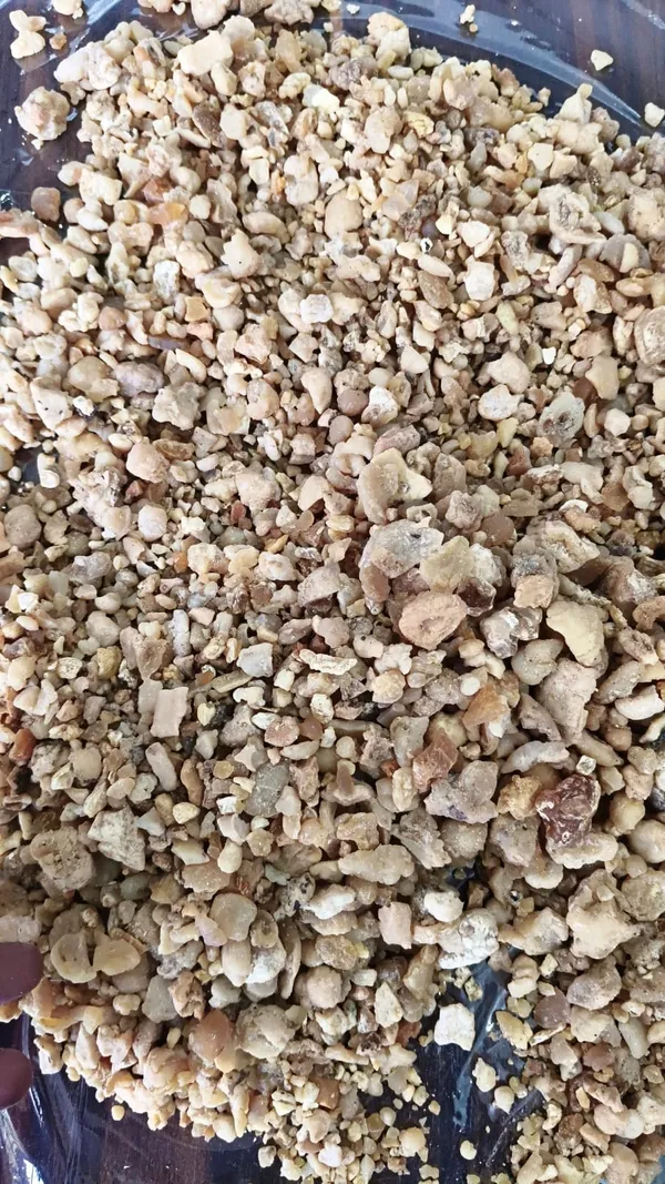 Dried_Edible_Gum_Granules