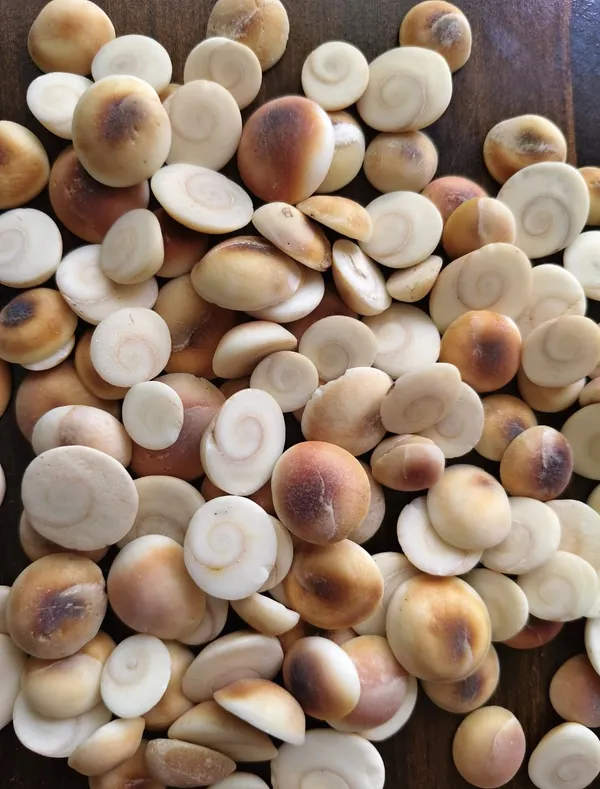Makhana_Fox_Nuts