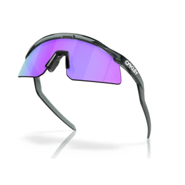 Oakley_Hydra_Prizm_Violet