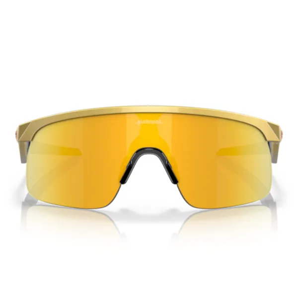 Oakley_Resistor_Prizm_24k