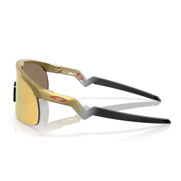 Oakley_Resistor_Prizm_24k