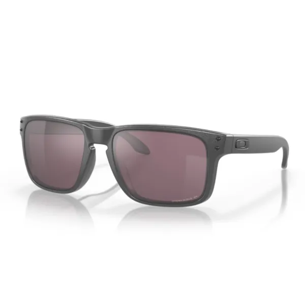 Oakley_Holbrook_Steel