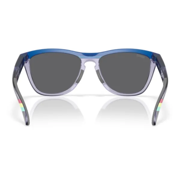 Oakley_Frogskins_Range_Matte_Transparent_Blue