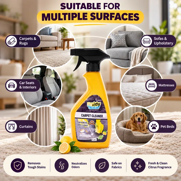 Daddyclean_Sofa_Car_Seat_And_Fabric_Cleaner_Pack_Of_2